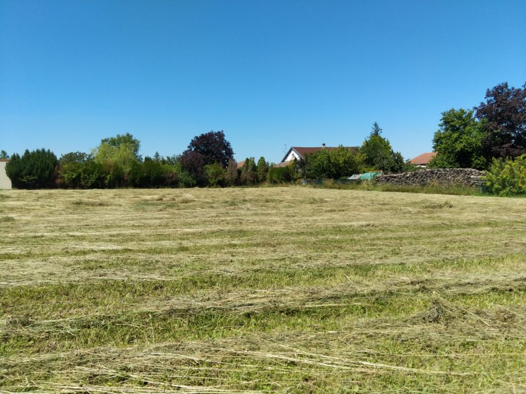 Terrain constructible