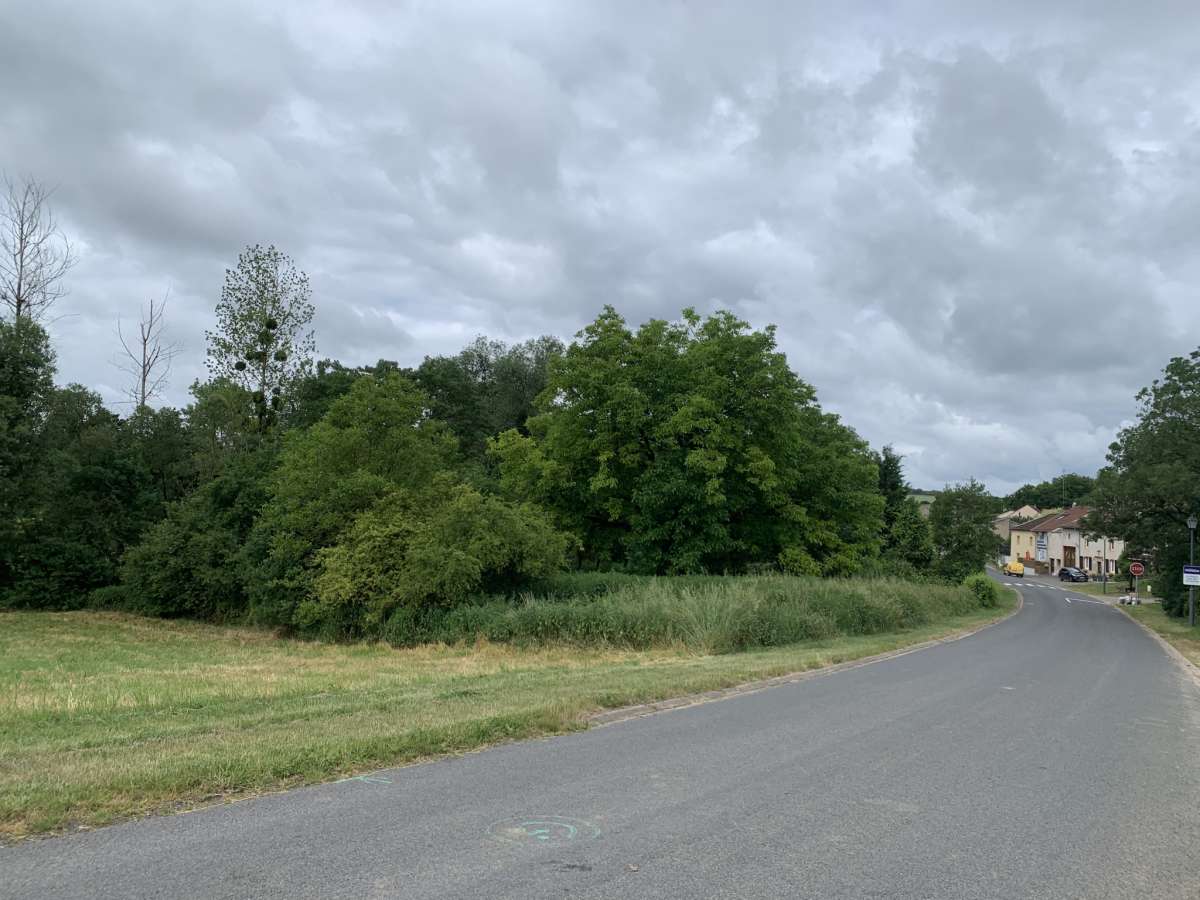 Batisse de 200 m2 + terrain constructible de 1000 m2 en bordure de Verdurette