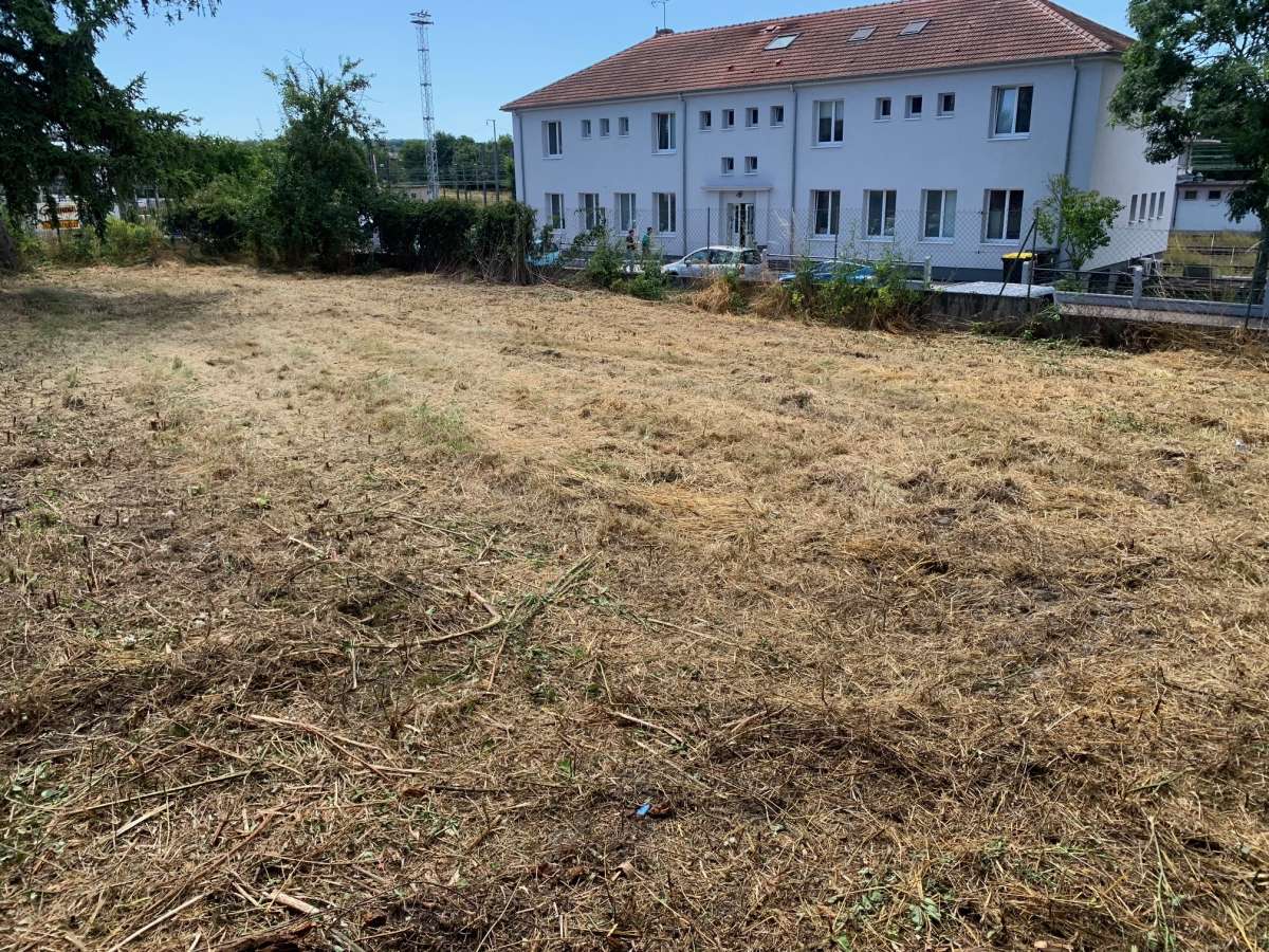 Terrain constructible clos et plat