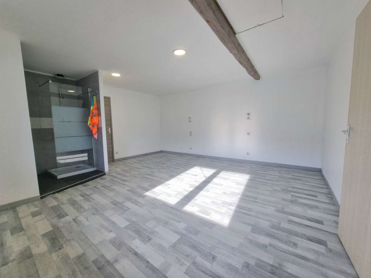 Maison 160 m2 avec dépendance, piscine et jardin - à la campagne