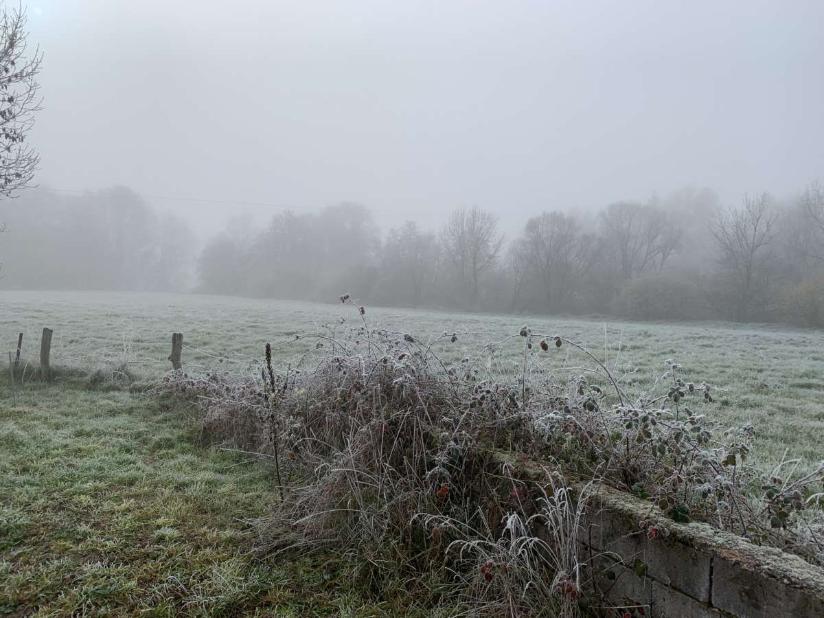 Ensemble immobilier sur plus de 2,5 hectares