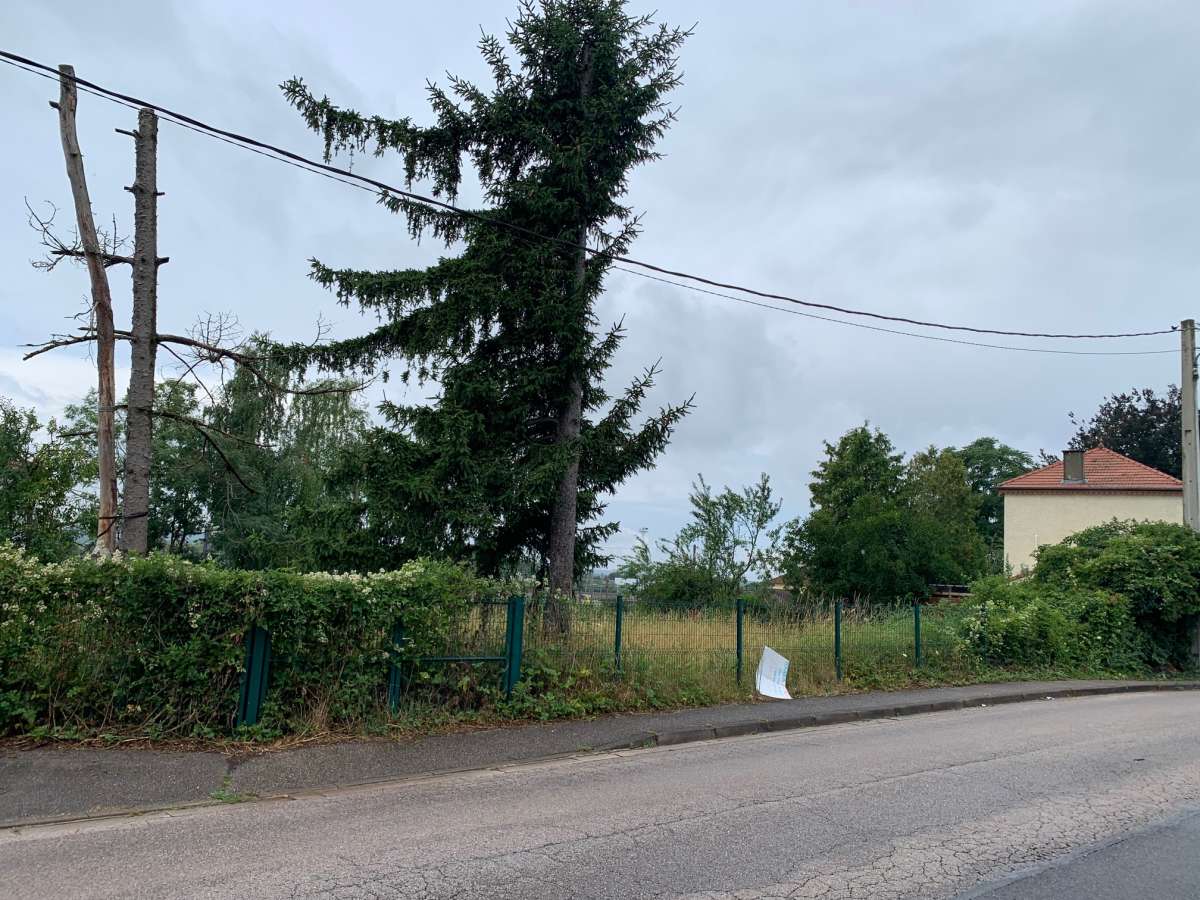 Terrain constructible clos et plat