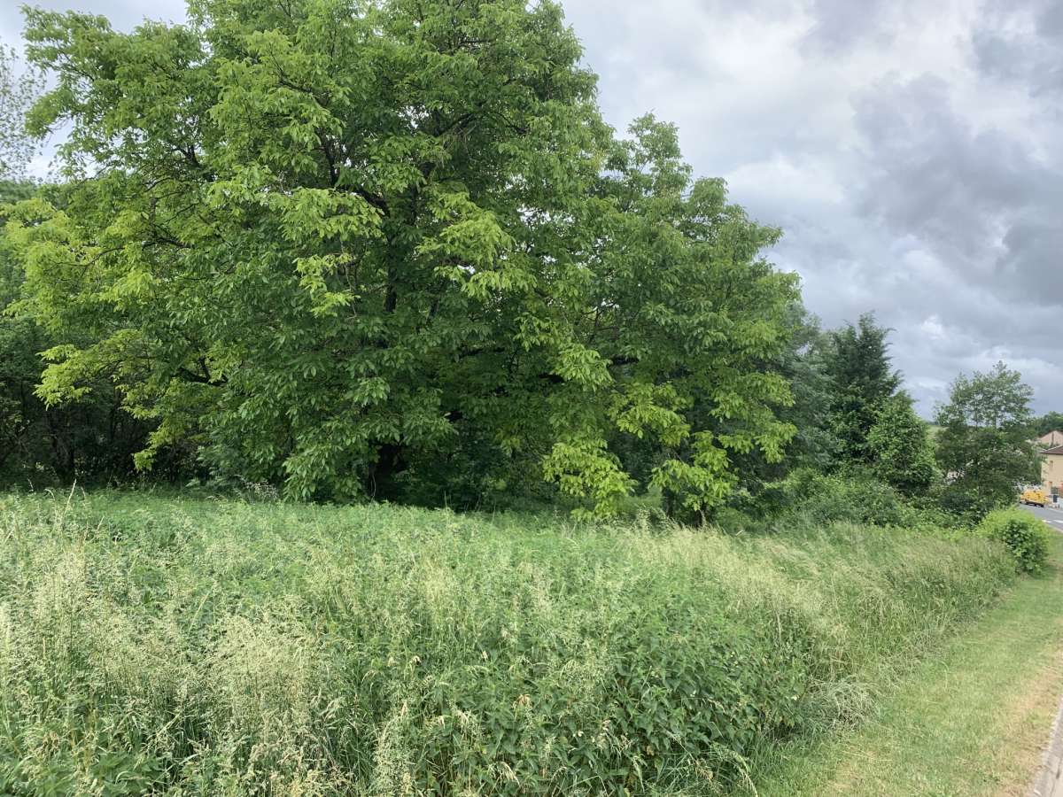 Batisse de 200 m2 + terrain constructible de 1000 m2 en bordure de Verdurette