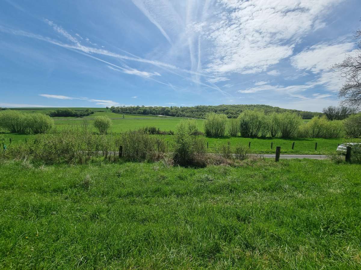 Terrain agricole/loisirs   5 370 m2   Château-Salins