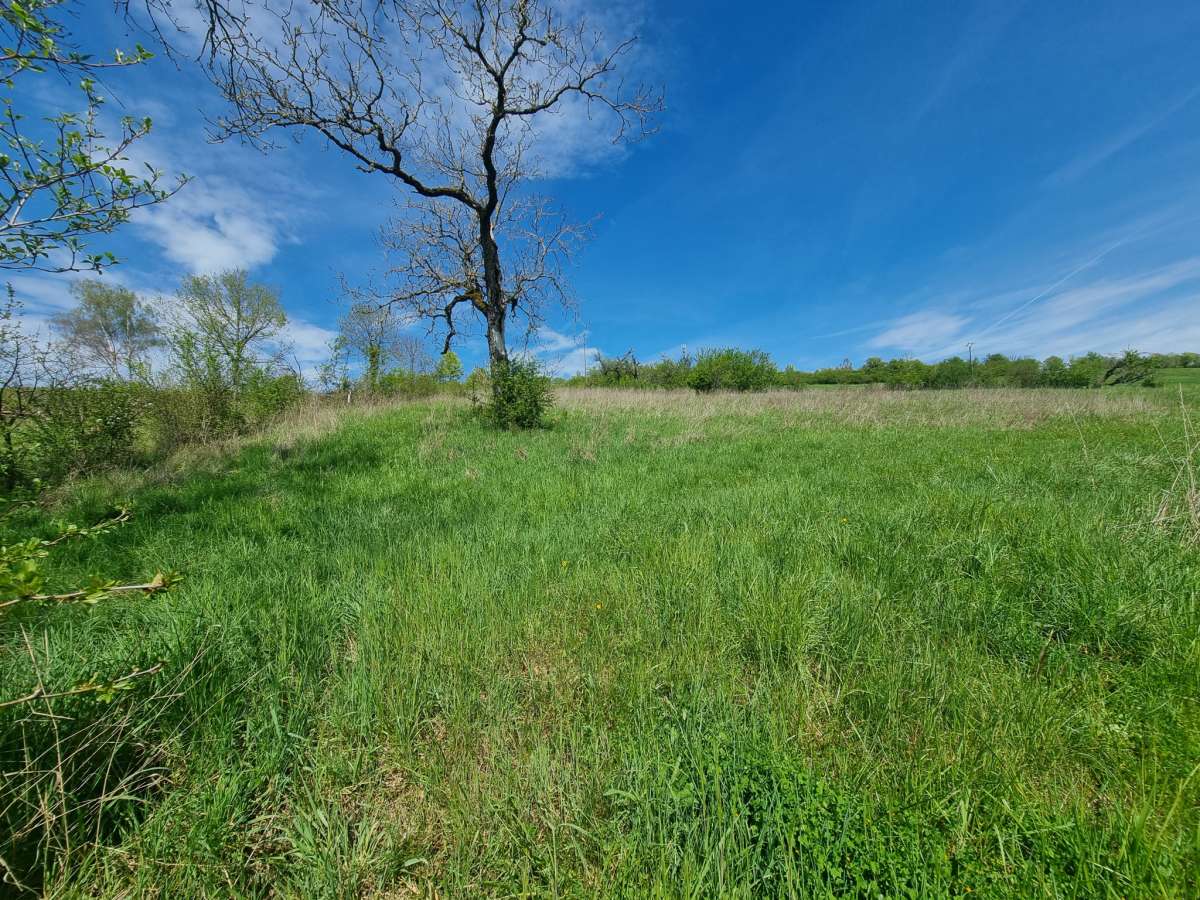 Terrain agricole/loisirs   5 370 m2   Château-Salins