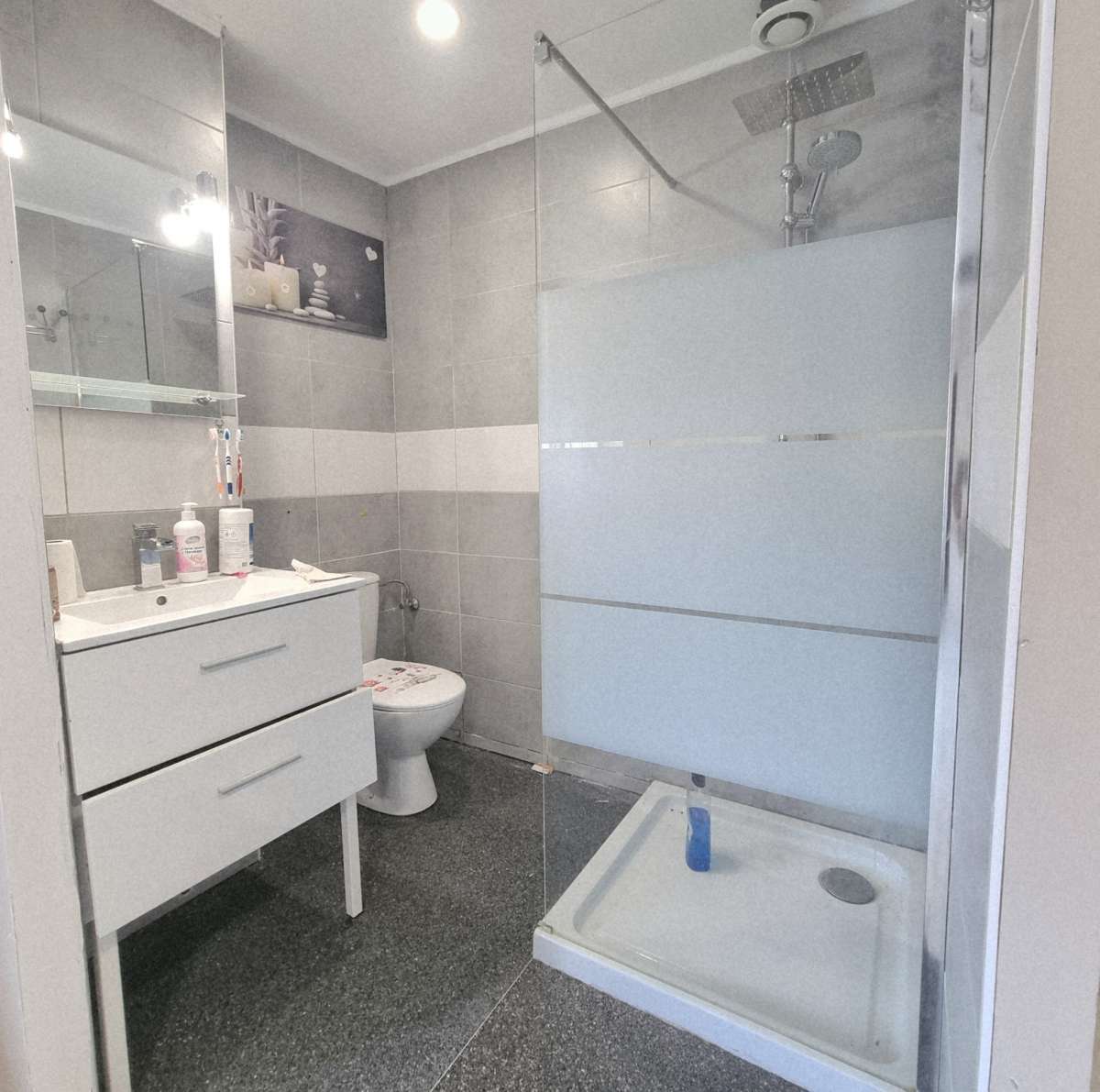 Maison 160 m2 avec dépendance, piscine et jardin - à la campagne