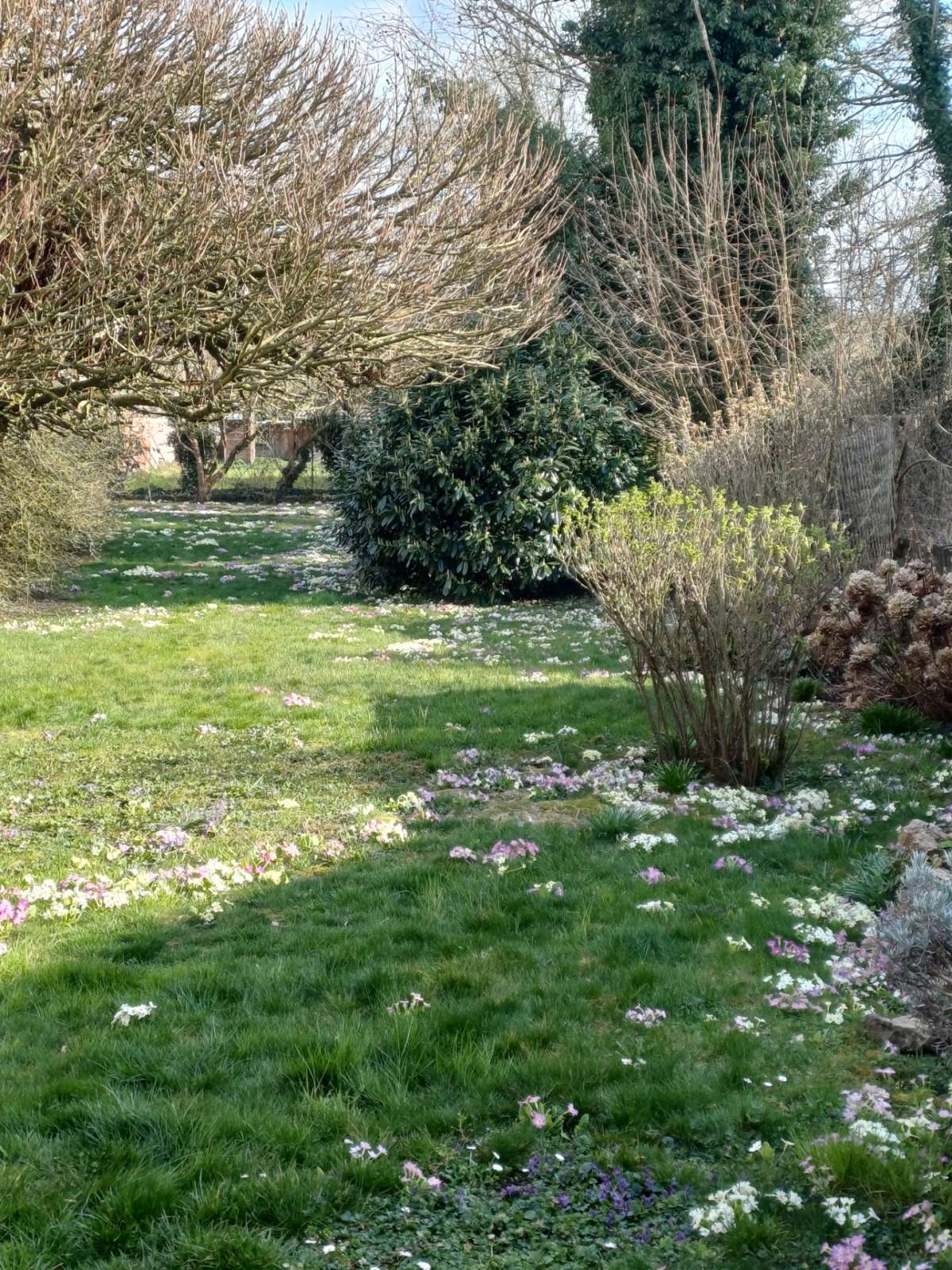 Maison 100 m2 avec local commercial & appartement